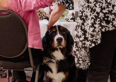 A Saint Bernard sits next to a table of women.